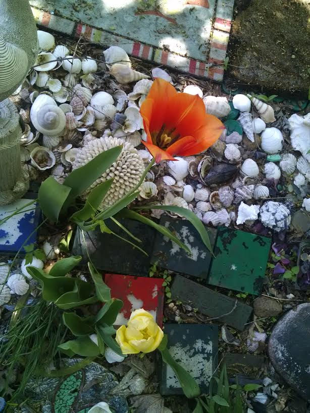 backyard garden; seashells; tulips
